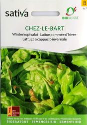 Lettuce Chez Le Bart ORGANIC Seeds